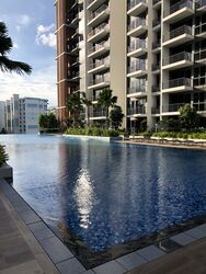 North Park Residences (D27), Apartment #530501641